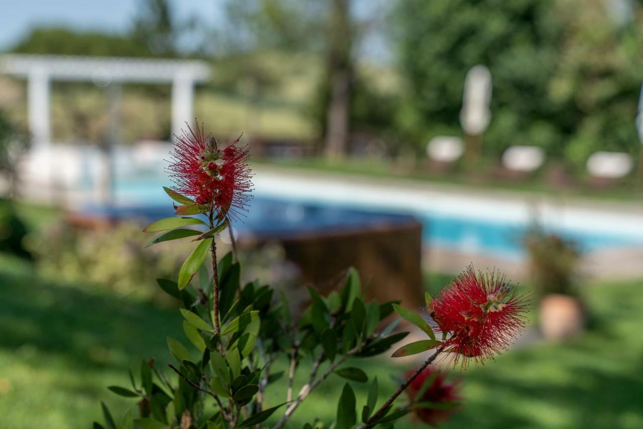 Le Maracla Country House Iesi Exterior photo